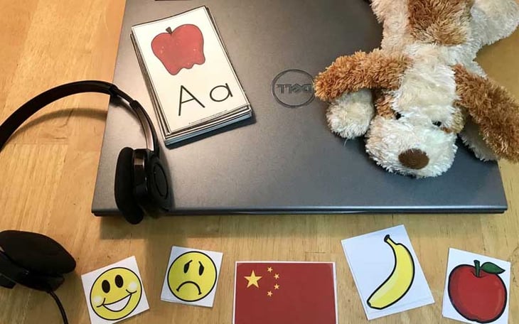 Teach English Online with BoxFish & BlingABC - Alumni Q&A with Kelly Schultz