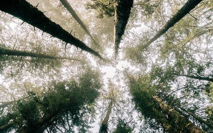 Saving Earth - Beyond The TEFL Classroom