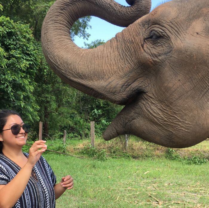 Teach English Abroad Ashely Gavilanes